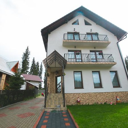 Pensiunea Viki Tău Bistra Екстериор снимка